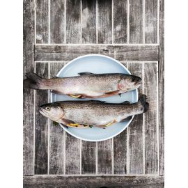 Окунь, фото 1