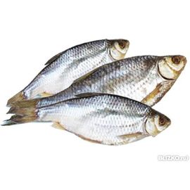 Тарань сочная, фото 1