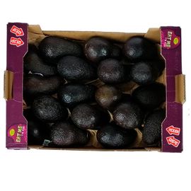 Ящик Авокадо Хасс, фото 1