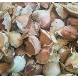 Зубок часнику, фото 1