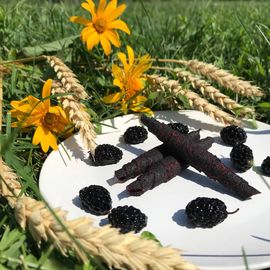 Пастила из шелковицы, фото 1