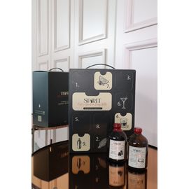 Набор алкогольных коктейлей SPIRIT (стандартный), фото 1