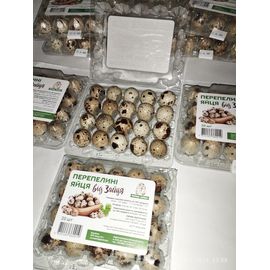 Перепелині яйця від Зайця, фото 1