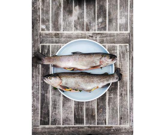 Окунь Смачна Риба, фото 1