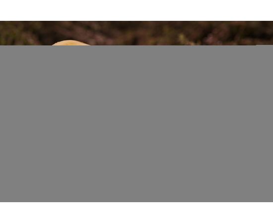 Медовый мусс с тимьяном Семейная пасека &quot;Мед в поход&quot;, фото 2