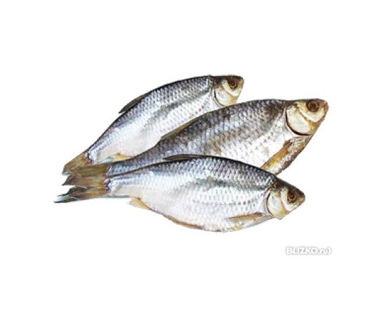 Тарань сочная Рыба-тарань-ка, фото 1