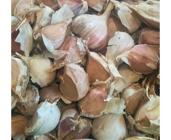 Зубок часнику Насіннєвий завод часнику, фото 1