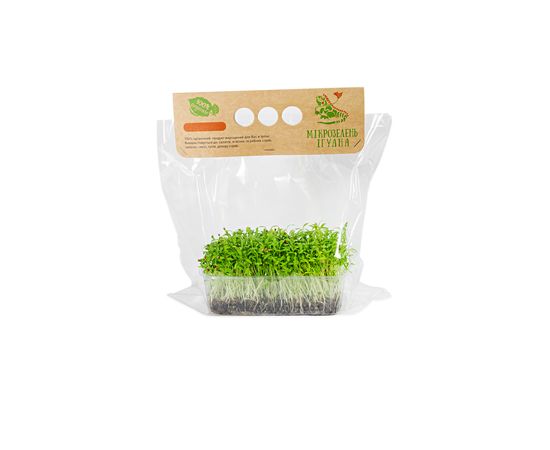 Микрозелень Кинза Мікрозелень Ігуана, фото 1