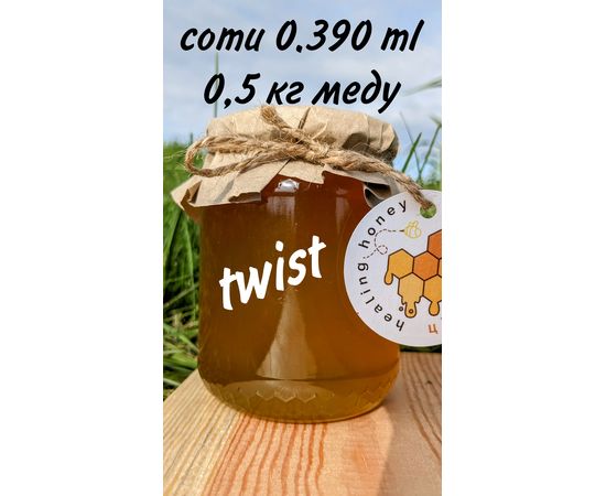 Соти 0,390 мл. (0,5 кг.) Цілющий мед, фото 1
