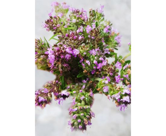 Авторський чай “Подих степу” бадьорий Авторський чай &quot;Подих степу&quot;, фото 3