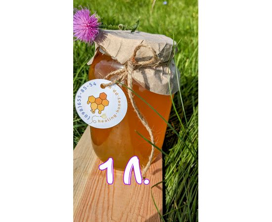 Літра цілющого меду Цілющий мед, фото 1