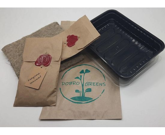 Готовий набір для вирощування мікрозелені Капуста Червона із 2 врожаїв TM &quot;Dobrogreens.com&quot; dobrogreens.com, фото 1