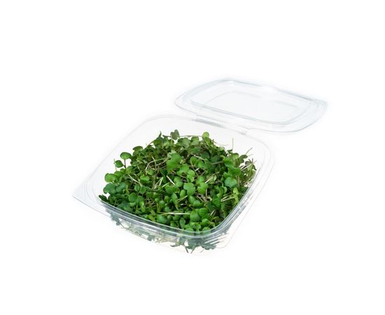 Микрозелень горчицы ОКЕЙ ЗЕЛЕНЬ, фото 1 Микрозелень горчицы ОКЕЙ ЗЕЛЕНЬ, фото 1